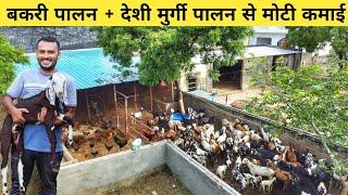 26 साल के युवा का बकरी + देशी मुर्गी पालन मॉडल | Goat Farming + Desi Poultry Farming