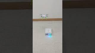 Mini Drone Test Bed(FD-4101) - 소형 드론 비행연습장치