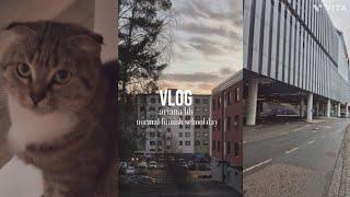 mini vlog // Finnish high school student 🪷