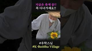 이번 주말에 여기 꼭 다녀가세요! #우학스님 #우학쇼츠 #K-Buddha_Village #shorts #한국불교대학 #유튜브불교대학 #축제
