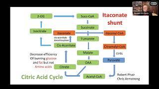 Prof. Dr. Ron Davis: Focus on Treatments and a Cure using Old Ideas and New Ideas (Day 1, Block 5)