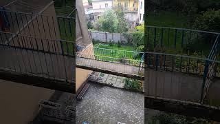 Наш маленький дворик,який нам дуже дорогий.