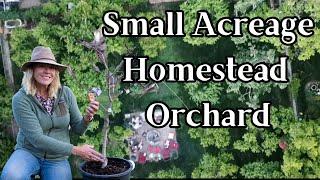 48 Fruit Trees on 1/2 Acre Homestead Orchard Layout, PlantingTips