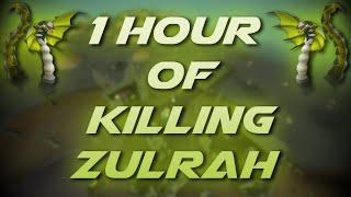 Slaying Zulrah | Testing OSRS Wiki Money Making Methods