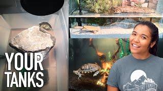 Reacting to YOUR Turtle Tanks (and Tubs) ep. 3