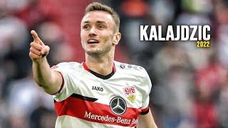 Sasa Kalajdzic | Skills, Goals & Assists 2022