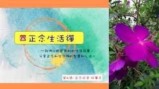 香光正念生活禪04--正念日常好事多