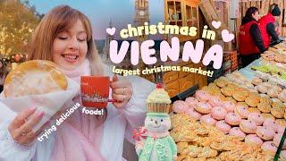 We went to the largest Christmas Market in Europe!!  Exploring Rathausplatz, Vienna  Austria