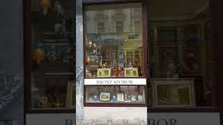 #shorts #венгрия "мой_дьер_или_наши_в_венгрии #шортсы #győr #shortvideo