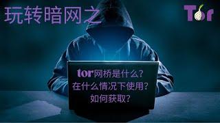 玩转tor网桥是什么？在什么情况下使用？如何获取？