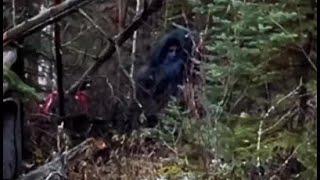 The Most Convincing Bigfoot Sightings Captured on Video