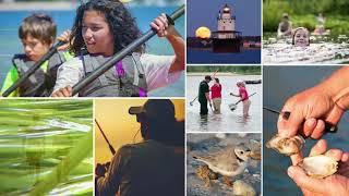 Septic Systems, Nitrogen Pollution Stress Buzzards Bay Ecosystem