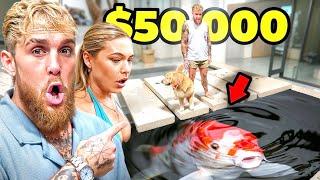 DELIVERING JAKE PAUL'S $50,000 KOI COLLECTION