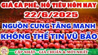 Giá cà phê hôm nay ngày 22/6/2025 | giá cà phê BẤT NGỜ  VŨ BÃO theo sàn thế giới