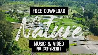 Free Background Music For Youtube Videos No Copyright Download for Content Creators Nature Chillvibe