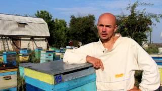 Карника во всей красе !