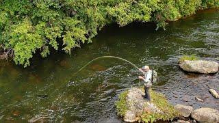 Exploring New Backcountry Water! | Epic Fly Fishing Found!