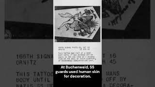 April 23, 1945 Human Skin with Tattoo – Buchenwald | Jewish History Unfolded