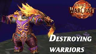 Destroying an army of warriors! - Marksman hunter pvp the war within 11.0.7