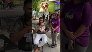 #zoopcommunity #zoopers #zooppets #zoop #doglover #pets #zoopapp #fyp #foryou