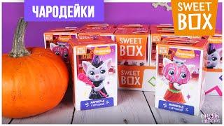 Пушистики: Чародейки в Sweet Box | Котята-волшебники в Свит Бокс