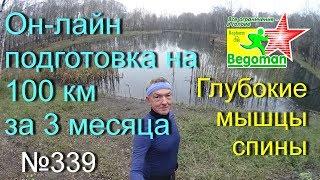 Он-лайн подготовка на 100 км за 3 месяца (№339)