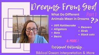 Why did I dream about a Snake, Bear, Bats & More | Biblical Dream Interpretation