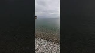 Приглашаем отдохнуть у моря.