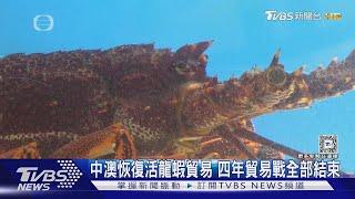 中澳恢復活龍蝦貿易 四年貿易戰全部結束｜TVBS新聞 @TVBSNEWS01