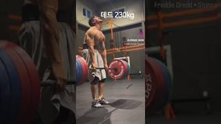 데드 230이 역도를 시작하면?