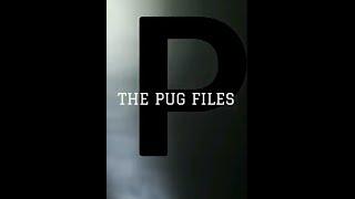 The Pug Files