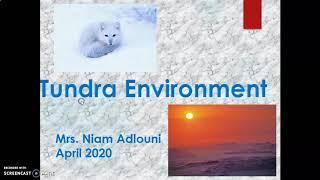 Tundra environment (for kids)