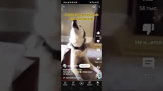 ቭውችስዥዥርዥስኽጽ #funny #супервидео #memes #edit #мем