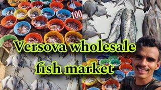 Versova wholesale fish market | wholesale fish Market versova