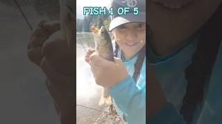 Fish 1 of 5! Highlights from May 21 live. #fishing #rainbowtrout #womenfishing