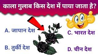 Questions Answer || Question in Hindi || general knowledge Hindi || Gk in Hindi ||