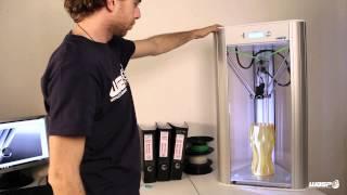 Delta WASP 3D printer / Resurrection System