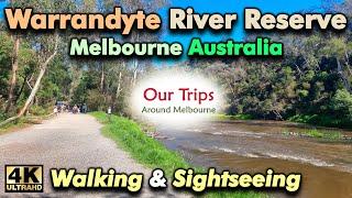 WARRANDYTE RIVER RESERVE WALKING TOUR AND EXPLORING THIS POPULAR DESITINATION | MELBOURNE VICTORIA