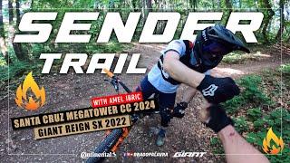 SENDER TRAIL | Giant Reign SX 2022 | Drago Palavra