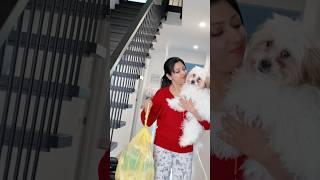 Part -1 When she is the best puppy lover  @Sijosh-cp  #sijoshriya #ashortaday #shorts