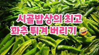 시골 밥상의 최고 겨울 양식 꽈추 튀각 만들기