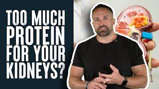 How Much Protein Is Too Much for Your Kidneys? | Educational | Layne Norton PhD Nutritional Sciences