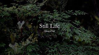 【Album】"Still life" on a rainy day / Mute Piano / music by haruka nakamura / video by SUUHAKU