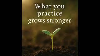 What You Practice Grows Stronger | Guided Meditation for Mindful Growth