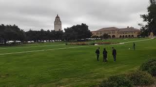 Stanford university entrance