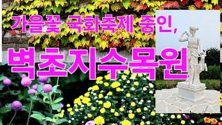 가을꽃 국화축제 시작, 벽초지수목원, 리모델링 후 재개장한 말리성의 가든의 아름다움에 녹아내렸습니다.  #벽초지수목원가을꽃축제