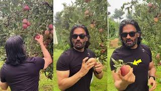 Sunil Shetty Picks Fresh APPLE Right From His Apple Farm In Himachal Pradesh #farm #healthyfood