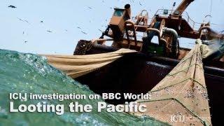 Looting the Pacific: ICIJ investigation on BBC World News