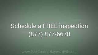 Hayward Pest Control by Prompt Action (877) 877-6678