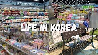 LIFE IN KOREA  Grocery Shopping in Korea+ Korean Dog Park 